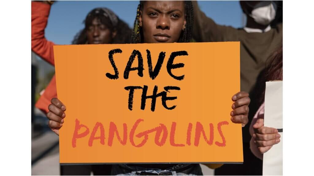 Save the pangolins